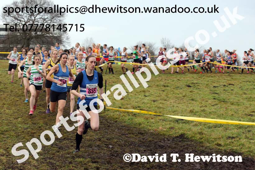 Senior womens North Eastern Cross Country, Aykley Heads, Durham. Photo: David T. Hewitson/Sports for All Pics